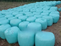 Wrapped, Cylindrical Silage Bales Livestock Feed - Per 60 Kg — foto 2