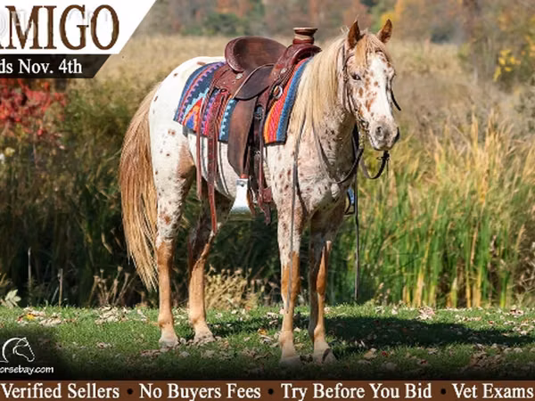 Horse (M), Horses