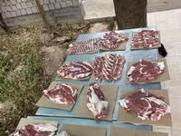 Carnero, Ovejas — foto 5