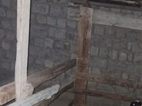 Widder, Schafe — Foto 2