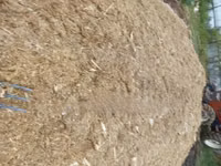 Baled Silage — Foto 2
