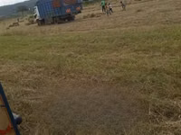 Hay for Sale. 190 Per Bale — photo 5