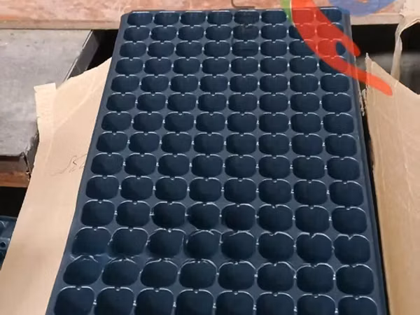 288 Holes for Seedlings