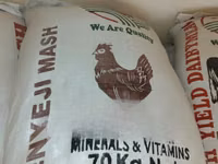 Kienyeji Mash — Foto 1