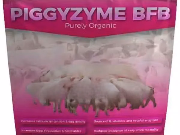 Piggyzyme BFB Organic