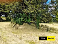 10PCS Organic Boma Rhodes Hay Bales — الصورة 3