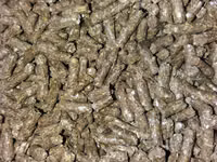 Vind granule la iepuri — foto 5
