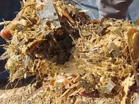 Ready Silage for Sale — Foto 2