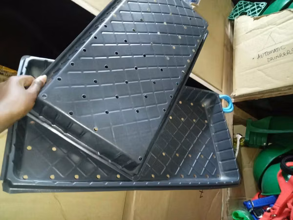 Hydroponic Trays for Greenhouse Propagation - With Holes