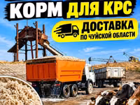 Жом — корм для КРС. Отгрузка самосвалами 16–18 тонн. - Питательный — photo 1