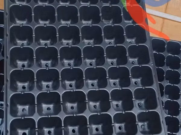 Planting Tray