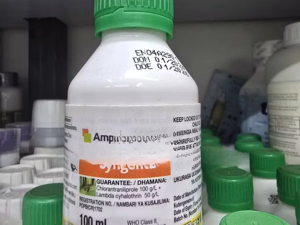 Ampligo 150 Zc Fungicide 100ml