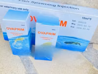 Ovulin for Fish Spawning — photo 3