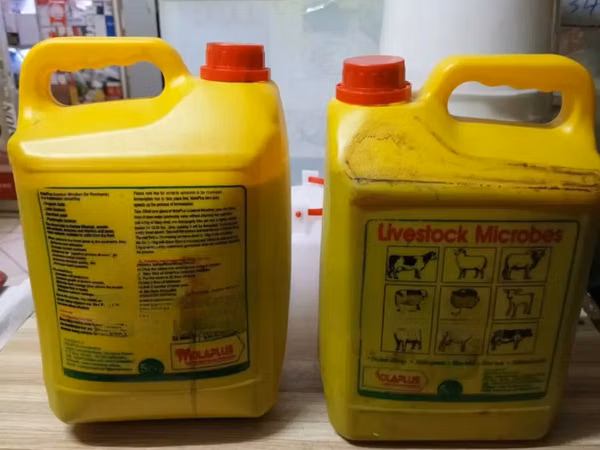 Livestock Microbes 5litres