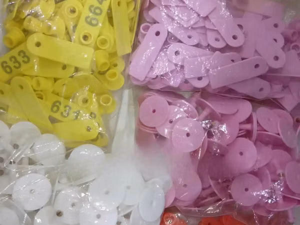 Purple, Pink and Yellow Slim Ear Tags for Pigs, Sheeps and Goats