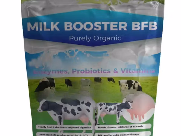 Bfb Milk Booster Pure Organic 500 G