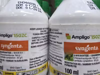 Ampligo 150 Zc Fungicide 100ml — 照片 3
