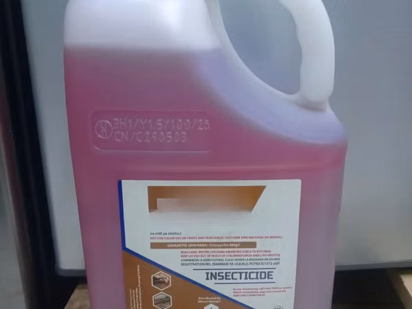 Undertaker Termiticide 480 Ec 5 Litres