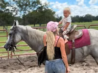 घोड़ी, Quarter Horse — फ़ोटो 3