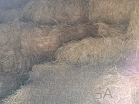 Animal Feed at Nakuru Ngata — foto 1