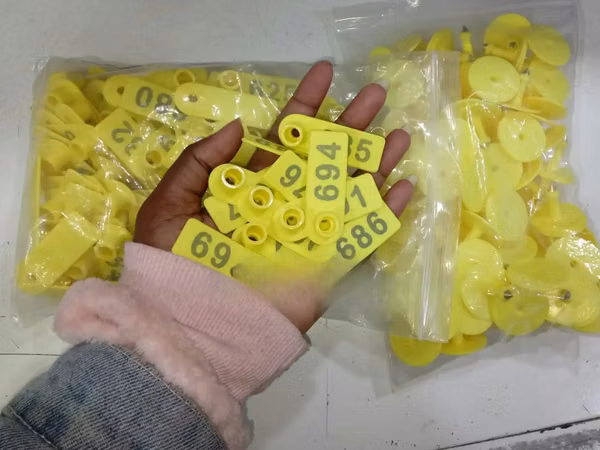 Laser Printed Numbered Slim Ear Tags
