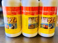 Golden Multivitamin and Amino Acids — الصورة 1
