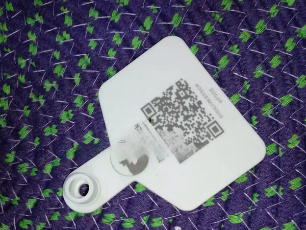 Custom QR-code Livestock Ear Tag - Cattle
