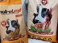 Vind korm pentru - pui; kurkani; rațe; boboci!! — photo 5