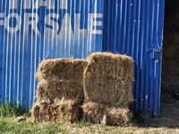 Animal Feed at Nakuru Ngata — foto 3