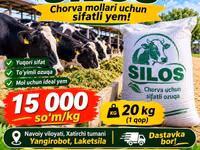 Silos sotiladi — 20 kg 15 000 so‘m, Xatirchi — foto 1