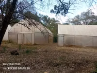 Green Houses — Foto 1