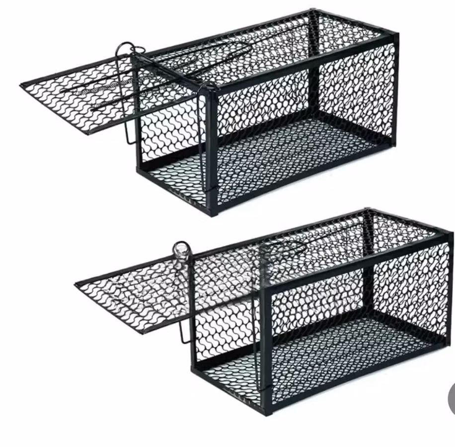 Best Single Catch Rat Traps/Rat Cage
