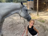 घोड़ी, Quarter Horse — फ़ोटो 4