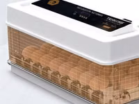 Incubator MS 63 — الصورة 1