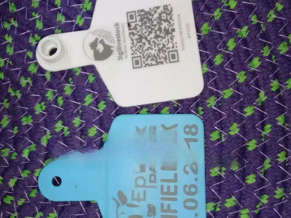 Medium Numbered Colored Cattle Ear Tags