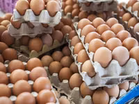 Premium farm fresh table chicken eggs for sale in bulk quantities at cheap price. — фото 3