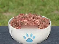 Minced Dog Food — Foto 1