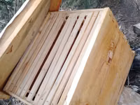 Box Langstroth Hives — الصورة 2