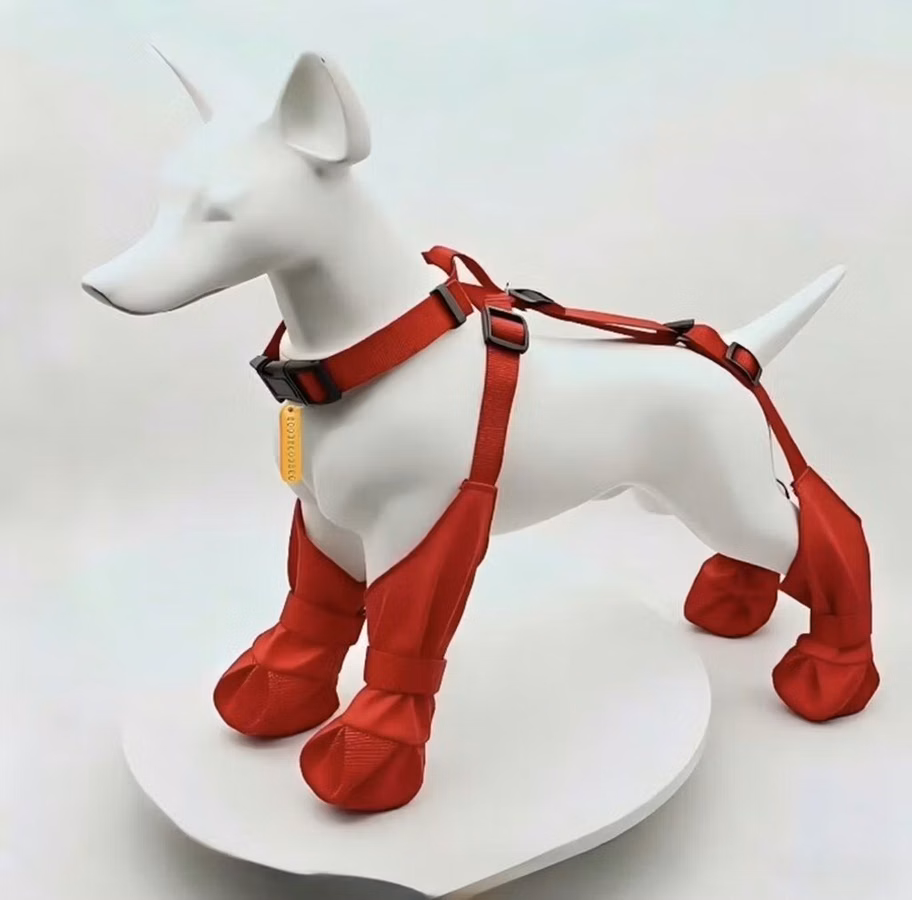 🐶 İtlər üçün yağışdan qoruyucu ayaqqabı — L razmer Yeni, istifadə
