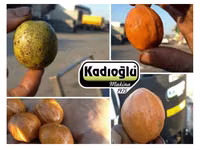 Curăţător de nuci kadioglu nutmec 180e rapid si simplu!!! — фото 4