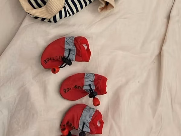 Məhsul: İt üçün geyim dəsti Tərkib: - Cızğılı kapüşonlu sviter/jemper