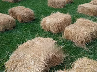 Event Hay Bales — foto 2
