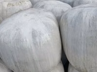Corn Silage — 照片 1