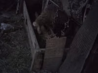 Кормушка для сельскохозяйственных животных (овцы, козы, телята) - — photo 1