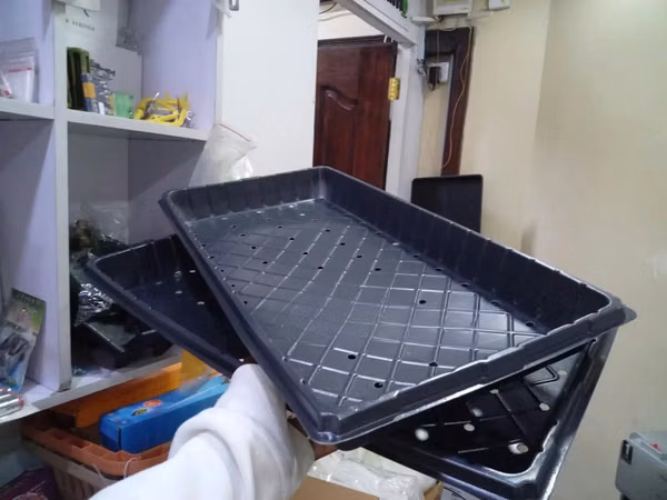 Hydroponic Trays With Small Round Holes