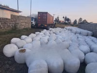 Silage Available. — 照片 3