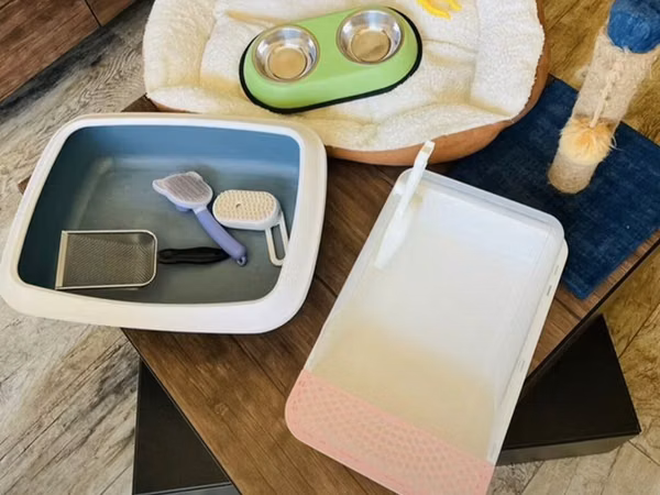 Pişik üçün komplekt aksesuar dəsti - Yumşaq, kənarları hündür pişik