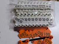 Numbered Eartags — photo 2
