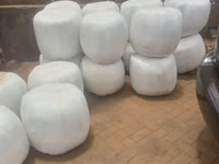 Premium Full-Corn Silage Ready for Collection / Delivery — الصورة 2