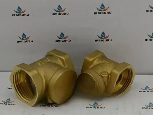 Anti Backflow Valve 50mm